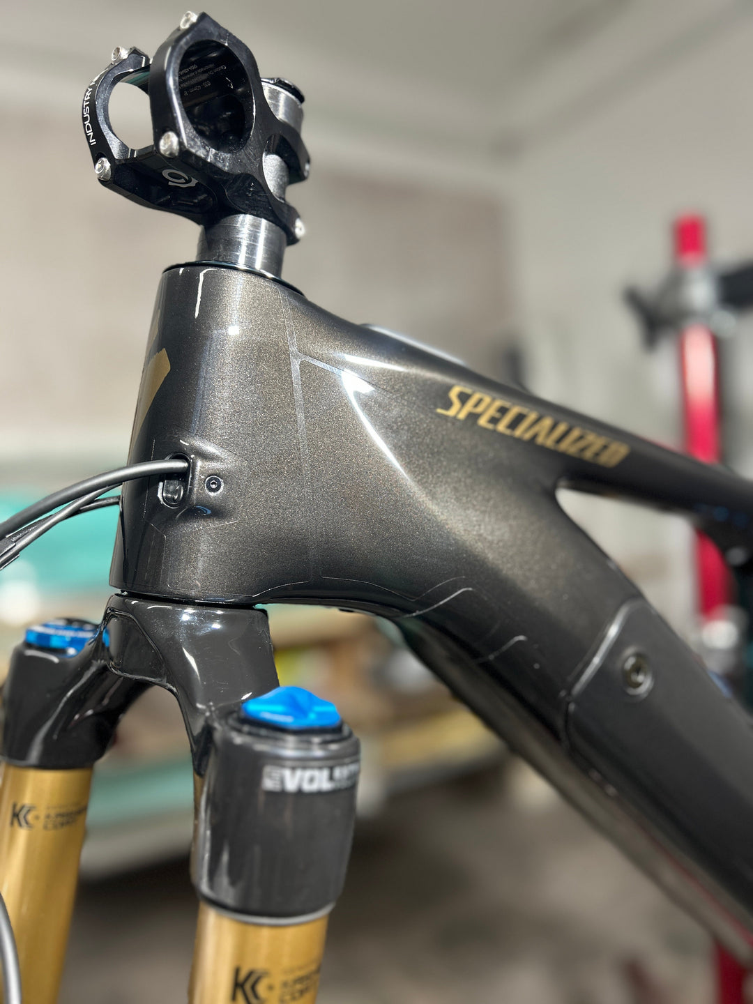 Specialized Turbo Levo 4 (2025-) — PPF Frame Protection | Tectora Bike Protection