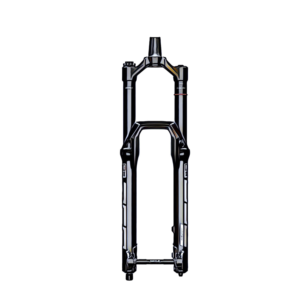 ROCKSHOX SID