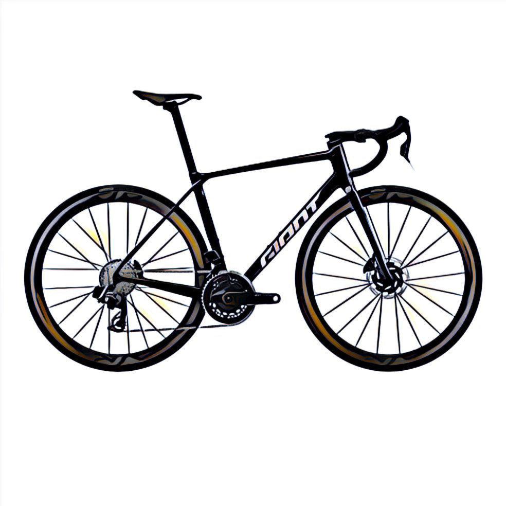 Giant TCR Advanced – side view, compatible model for the frame protection kit