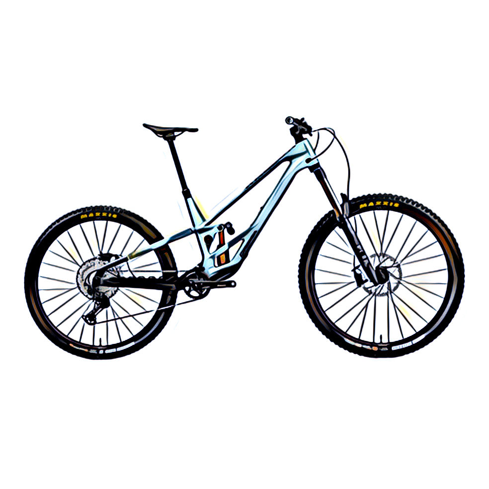 Orbea Rallon– side view, compatible model for the frame protection kit