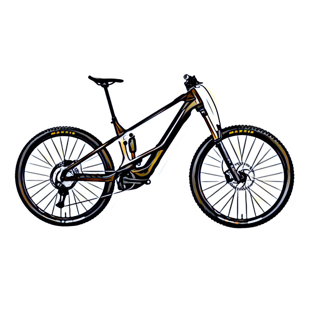 Orbea Wild– side view, compatible model for the frame protection kit
