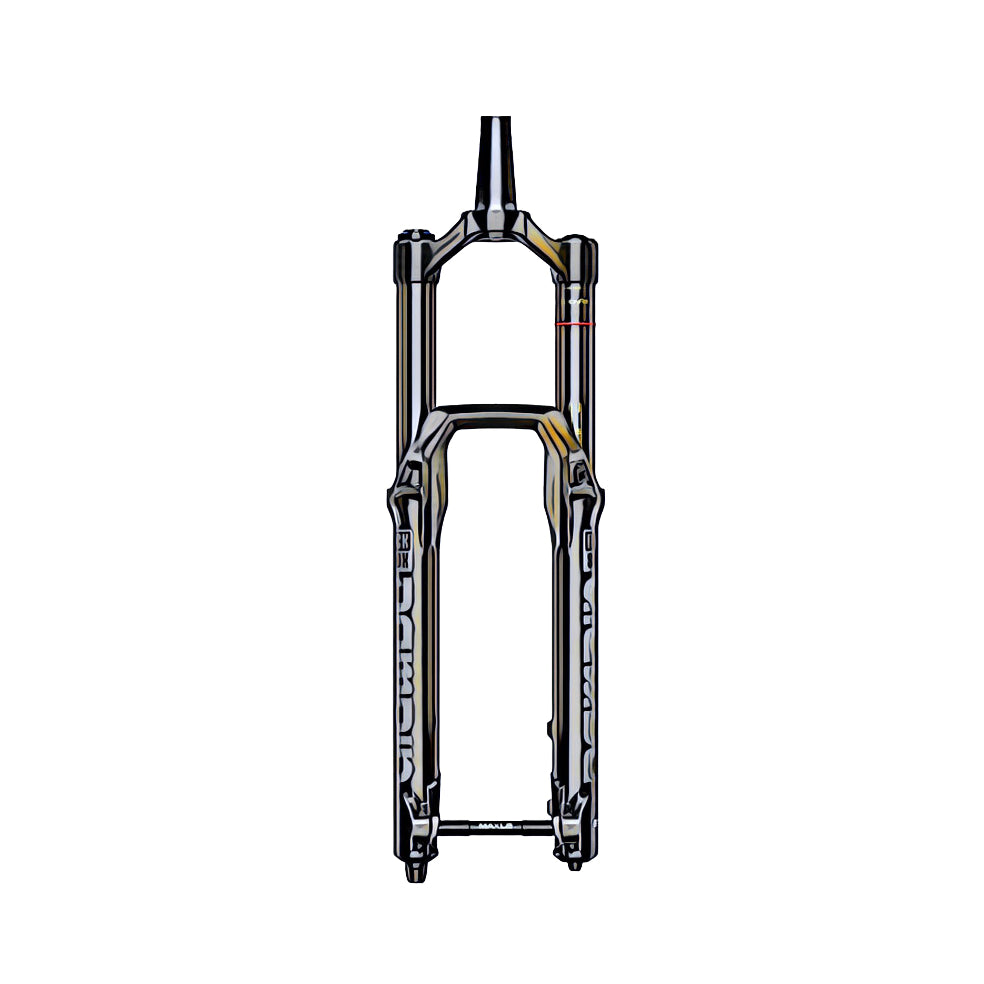 Rockshox Domain R – front view, compatible model for the fork protection kit