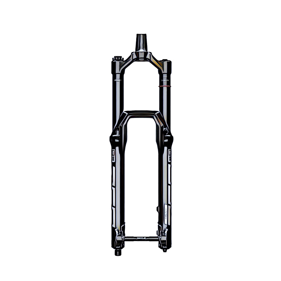Rockshox Zeb – front view, compatible model for the fork protection kit