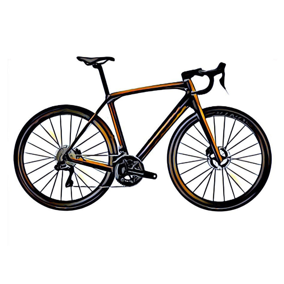 Trek Domane – side view, compatible model for the frame protection kit