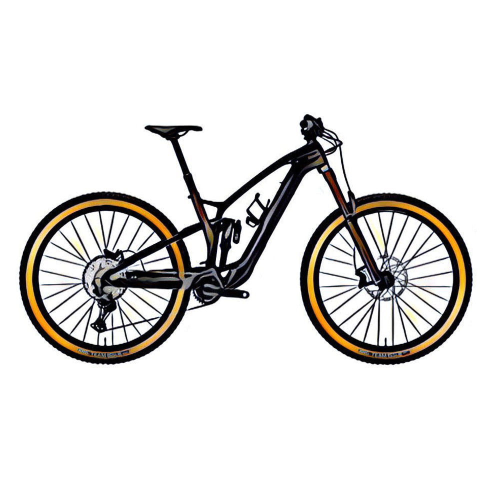 Trek Fuel EXe e-MTB – side view, compatible model for the frame protection kit