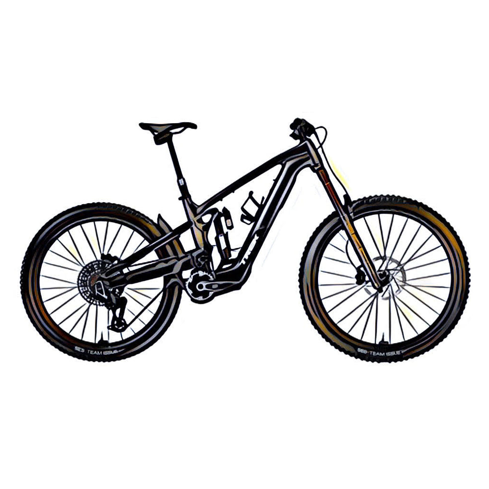 Trek Slash MTB – side view, compatible model for the frame protection kit